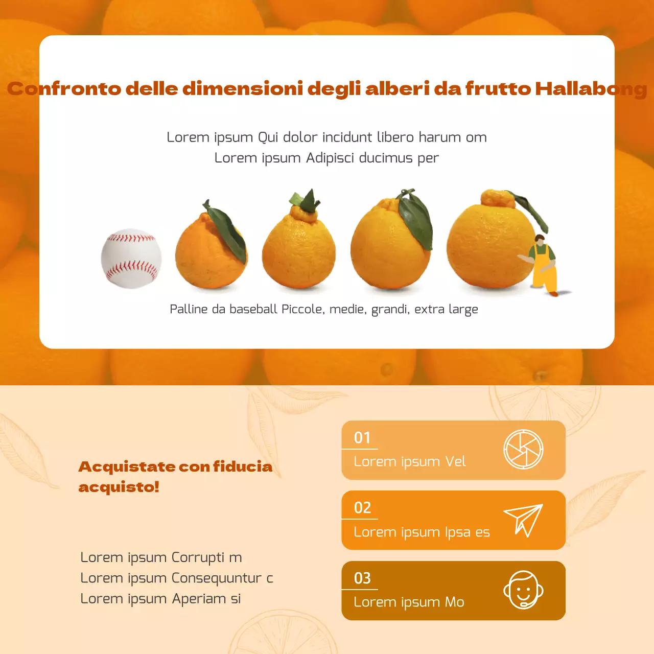 Arancione tradizionale concetto di vacanza Hallabong tema set regalo