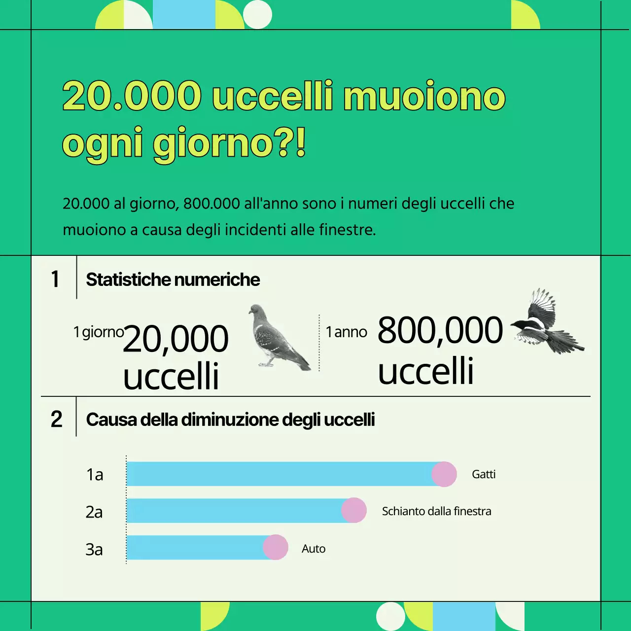 Informazioni sulla prevenzione delle collisioni con uccelli selvatici verdi e geometrici (Card News)