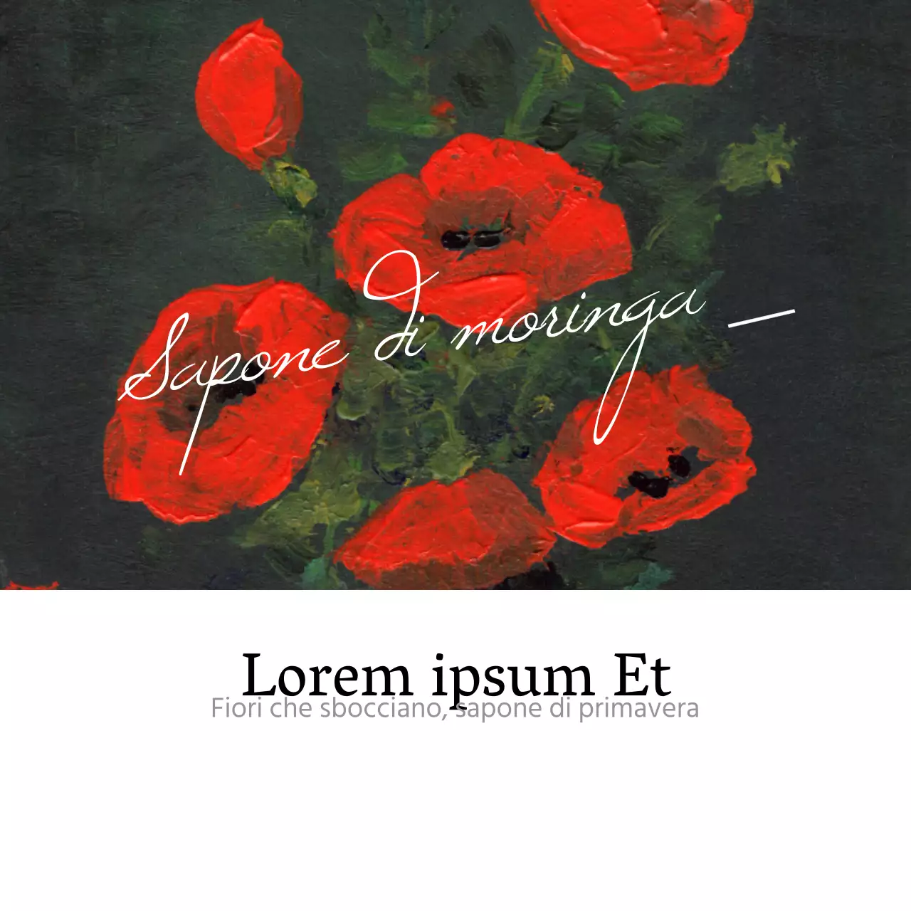 Quando i fiori sbocciano e la primavera