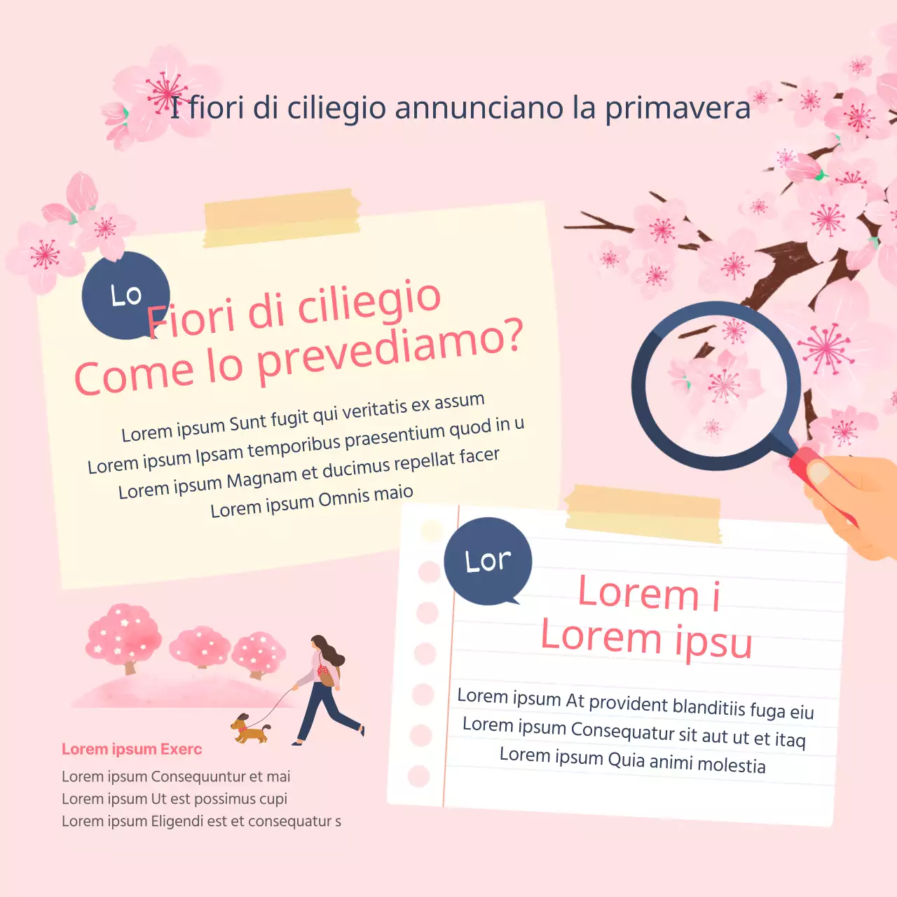 Macchie di fiori di ciliegio e tempi di fioritura illustrati in rosa