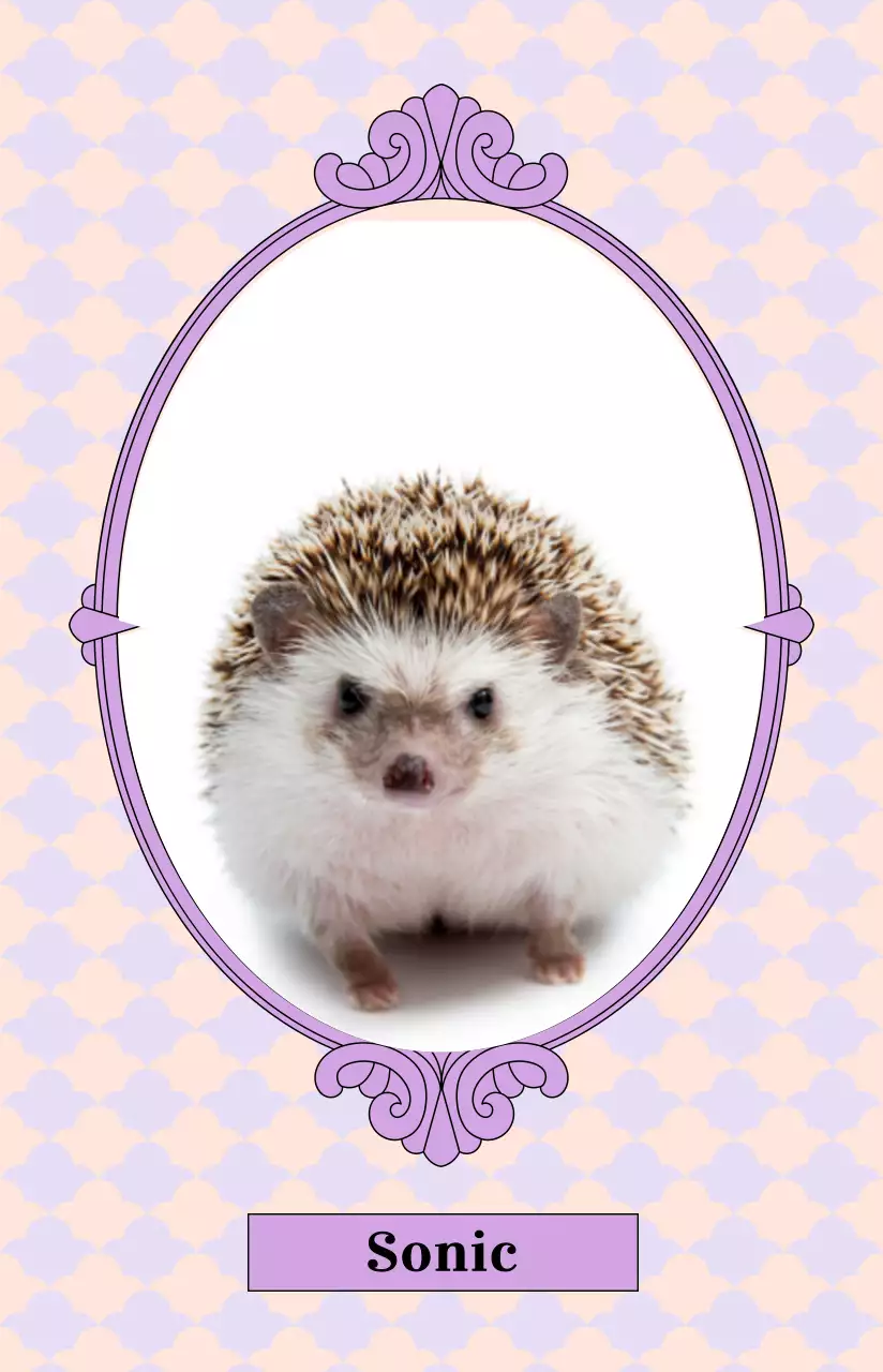 Una cornice rotonda e lussuosa con una foto colorata del vostro animale domestico.