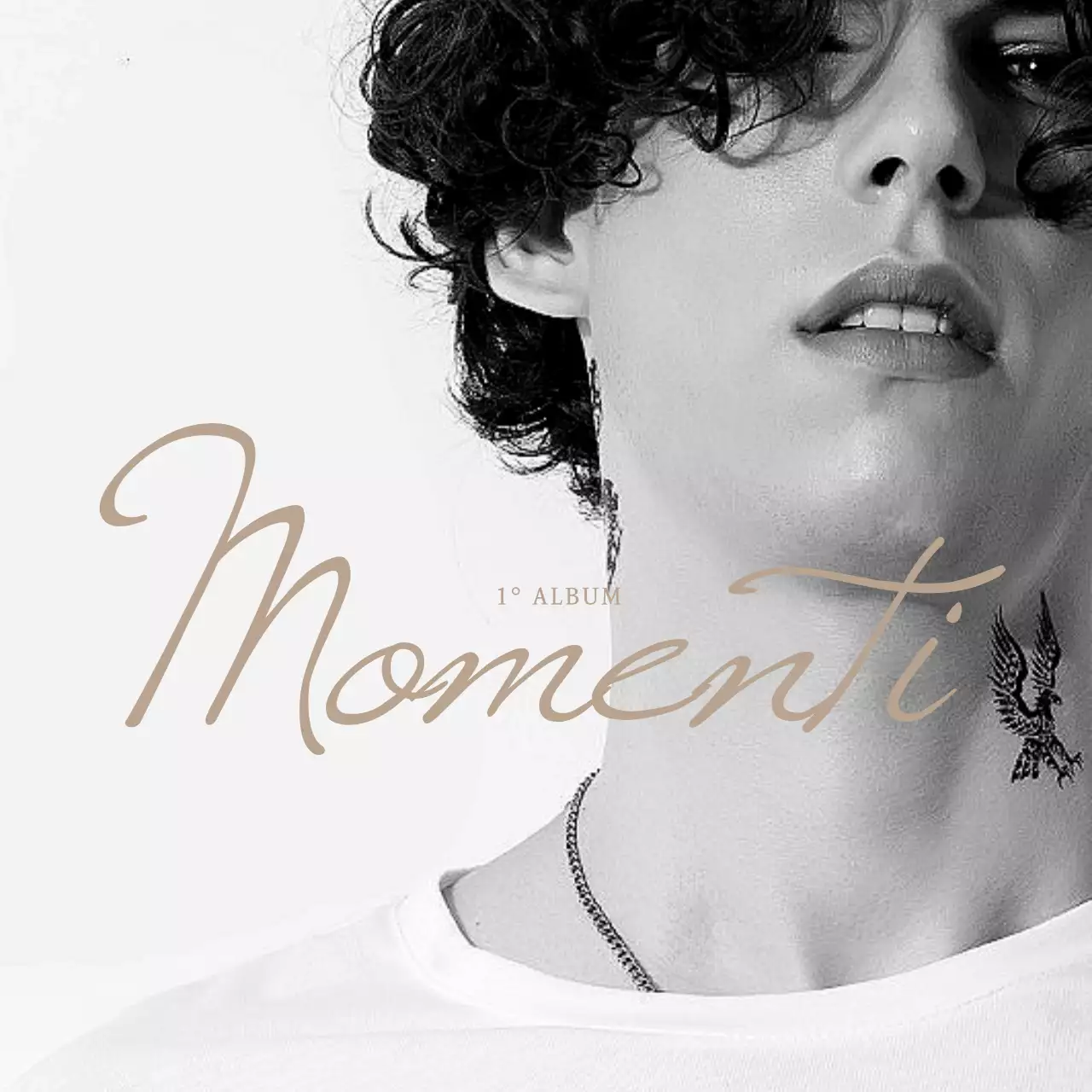 Eco-bag bianca semplice per il merchandising fotografico