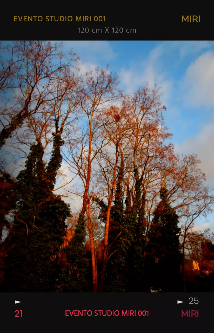 Concetto di cornice per foto emozionale e alla moda con colori ad alto contrasto per il merchandising personale
