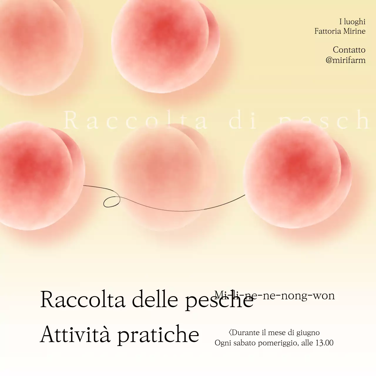 Evento attività rosa sfumato pesca pastello