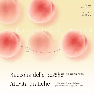 Evento attività rosa sfumato pesca pastello