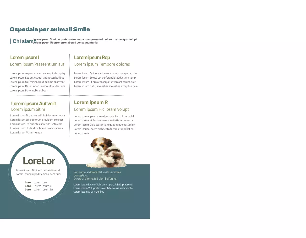 Concetto di orario della clinica veterinaria turchese