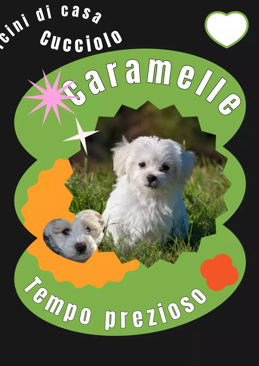 Una copertina carina con un cucciolo