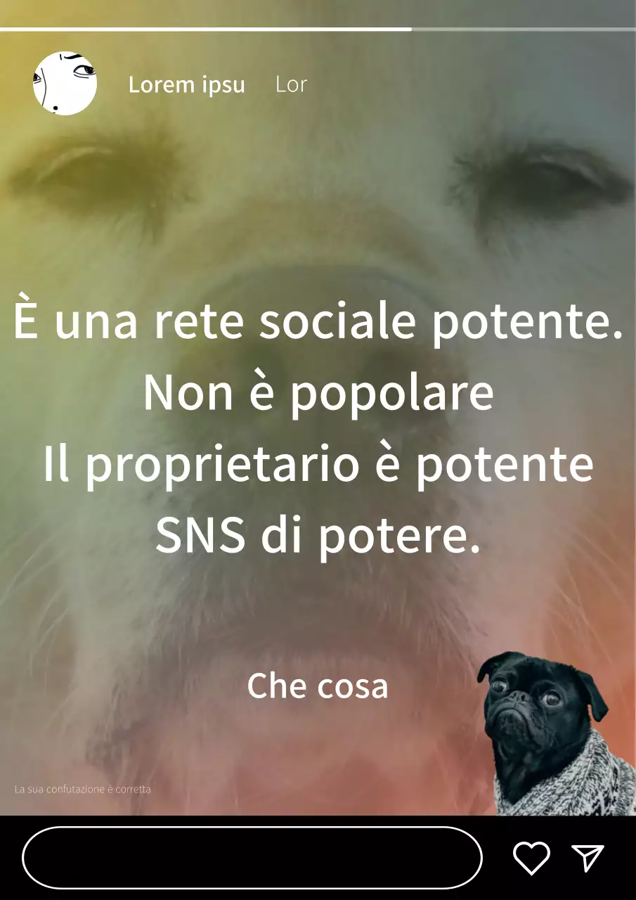 Uno sfondo color arcobaleno e un cagnolino per un post Instagram divertente e commovente