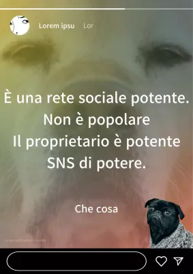 Uno sfondo color arcobaleno e un cagnolino per un post Instagram divertente e commovente