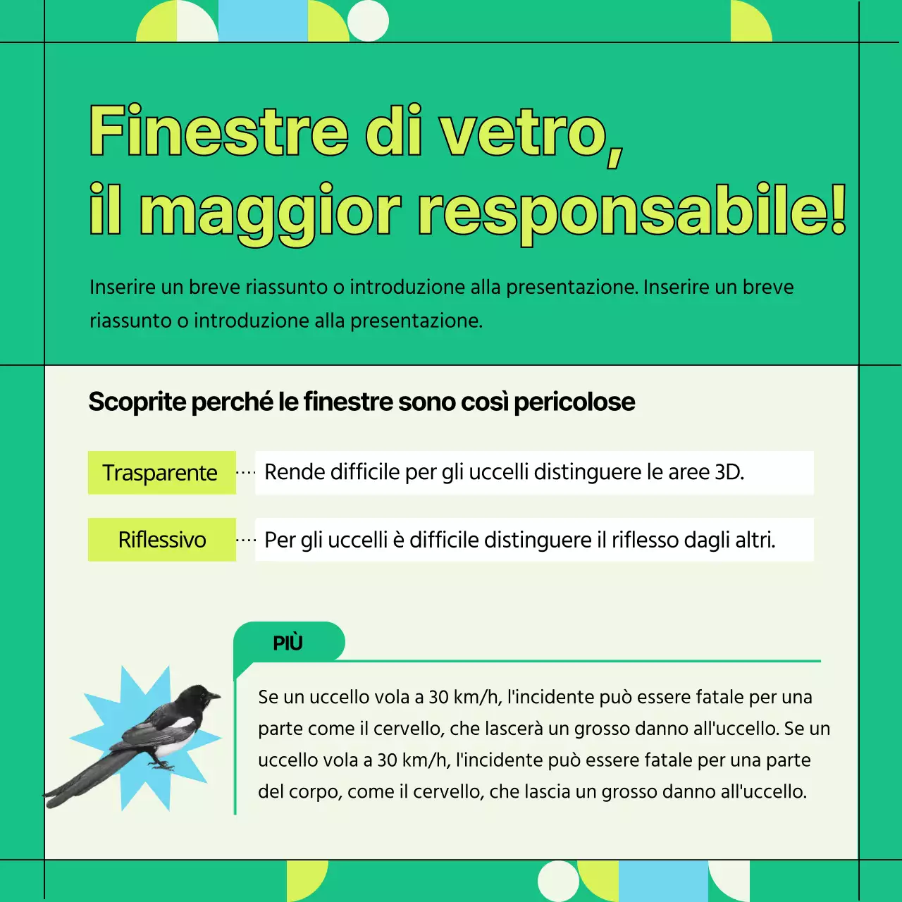 Informazioni sulla prevenzione delle collisioni con uccelli selvatici verdi e geometrici (Card News)