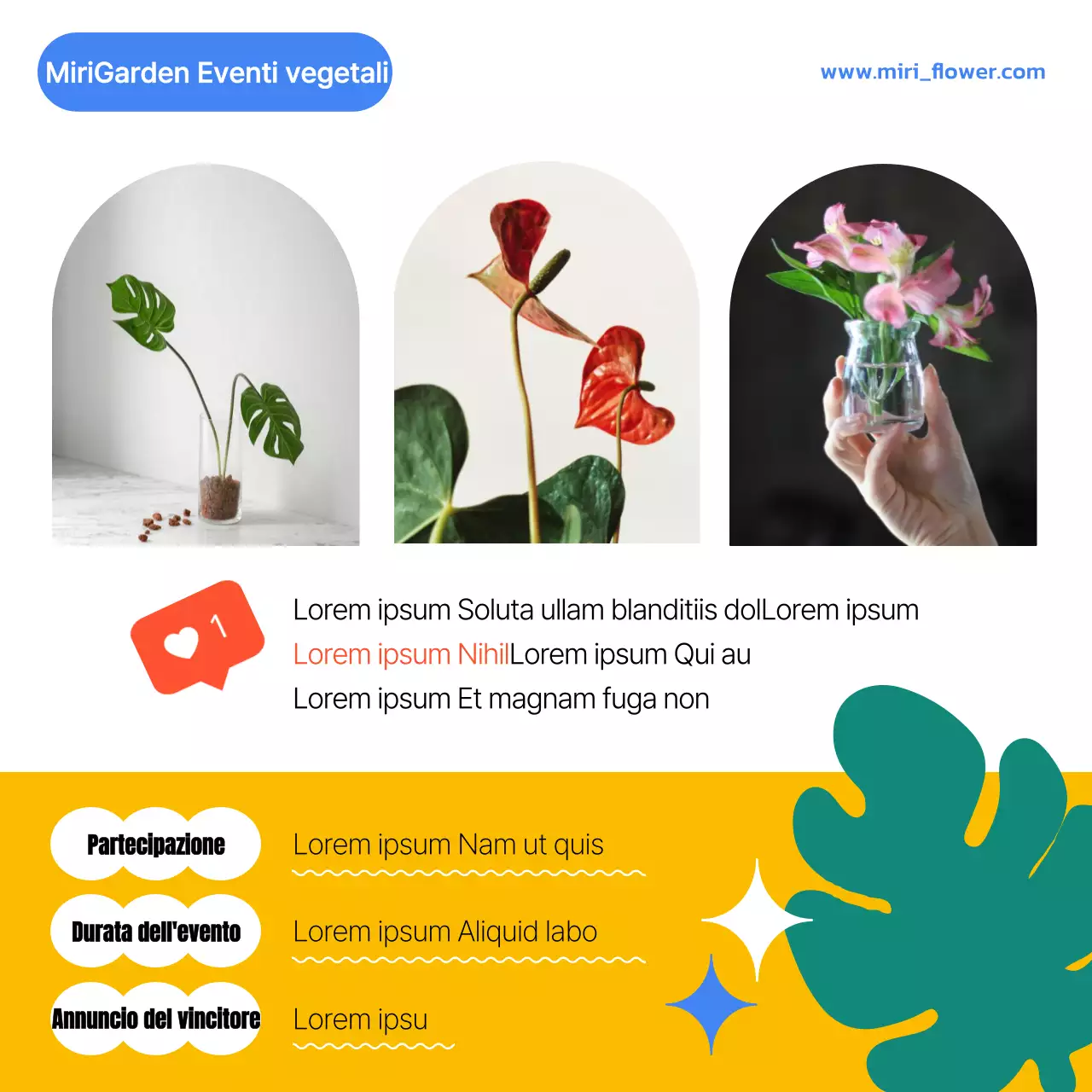 Proposte tecnologiche alimentari colorate