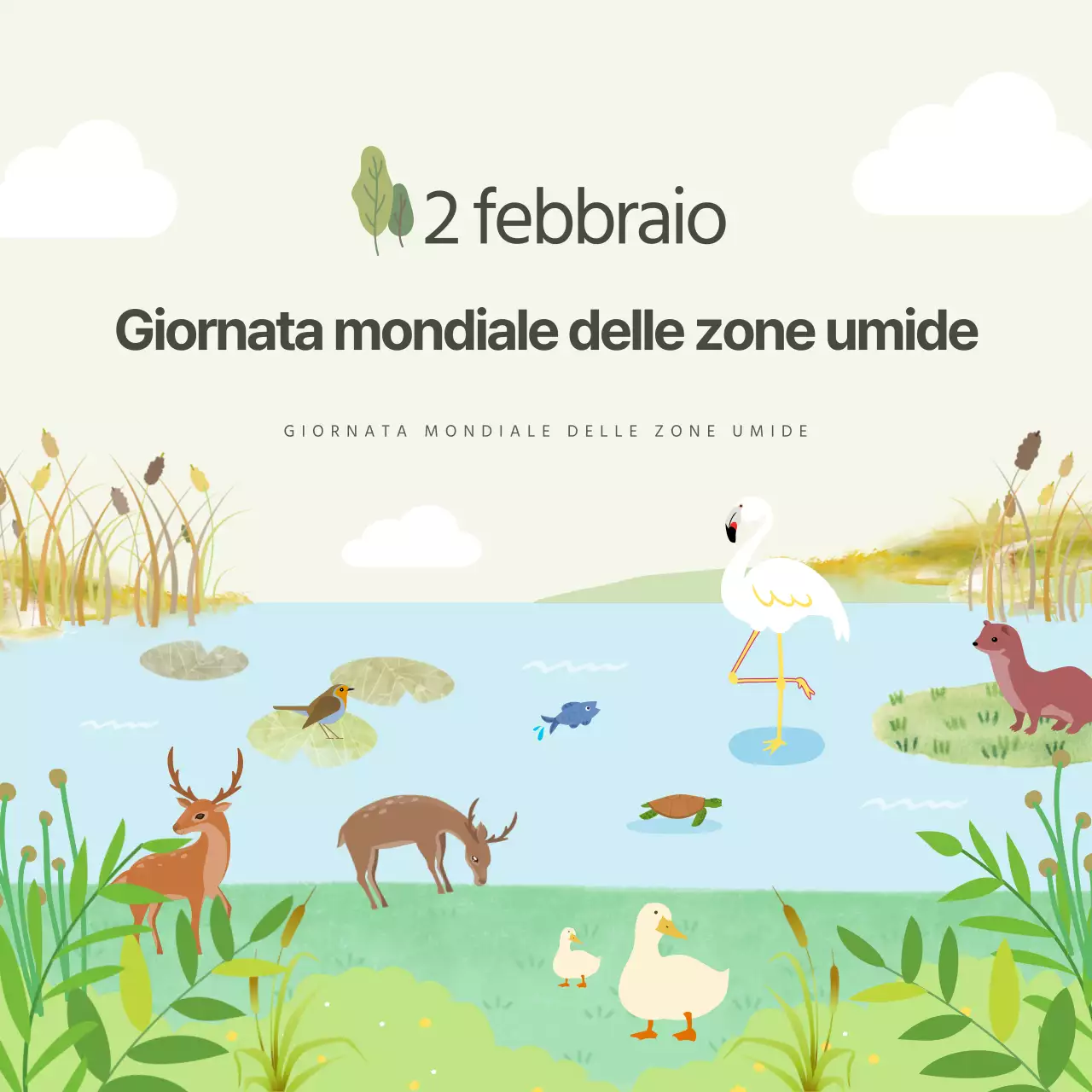 Ducasse Giornata mondiale delle zone umide CardNews Design