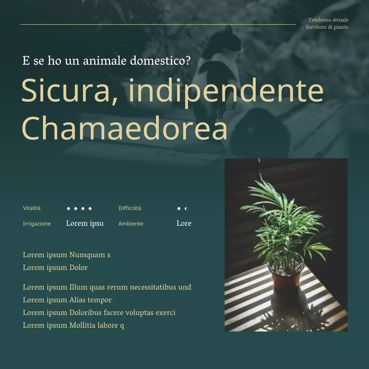 Piante da compagnia di tendenza verde e oro spiegate