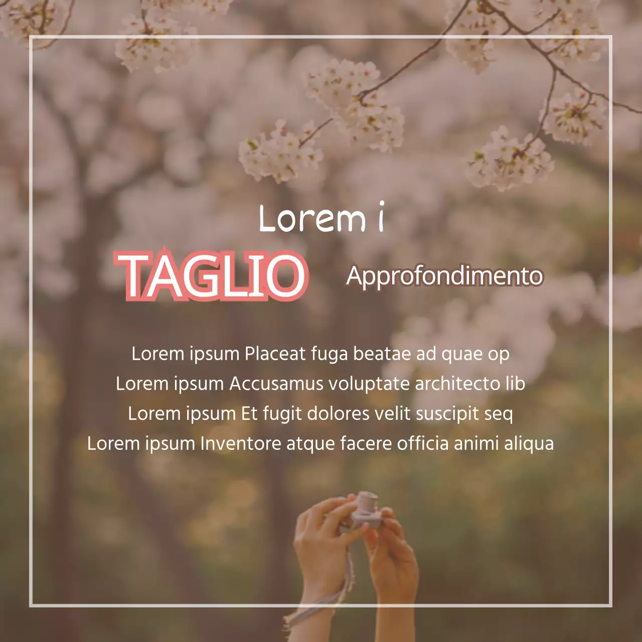 4 consigli per fotografare la festa dei fiori di primavera in rosa Promozione del prodotto