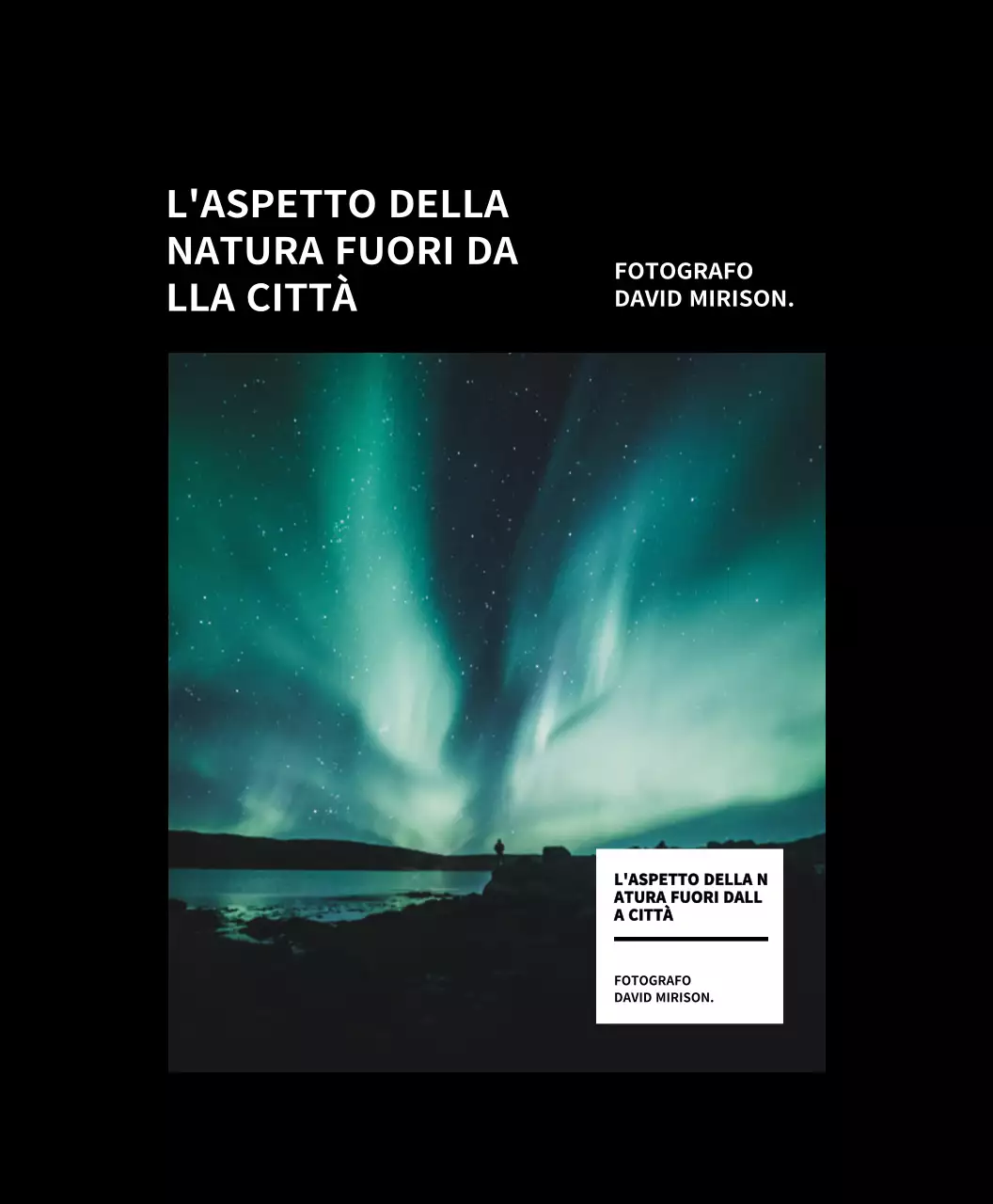 Eco-bag per mostre fotografiche semplice e moderna in bianco e nero