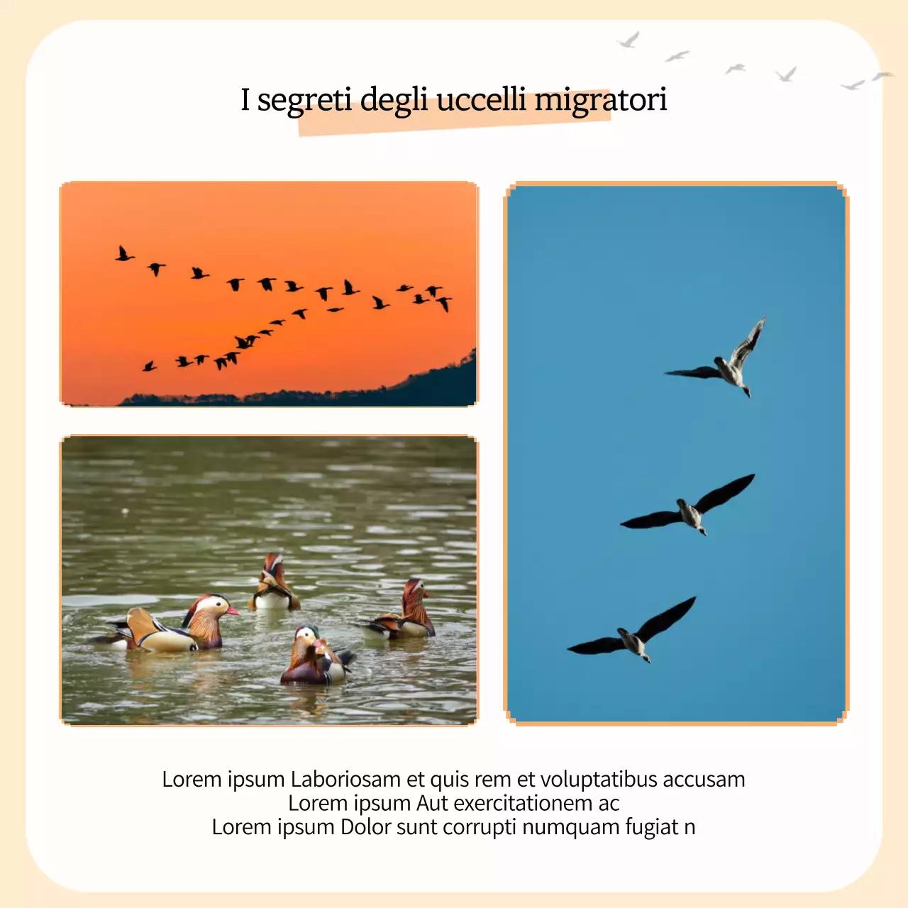 Una semplice guida agli uccelli migratori in giallo e arancione