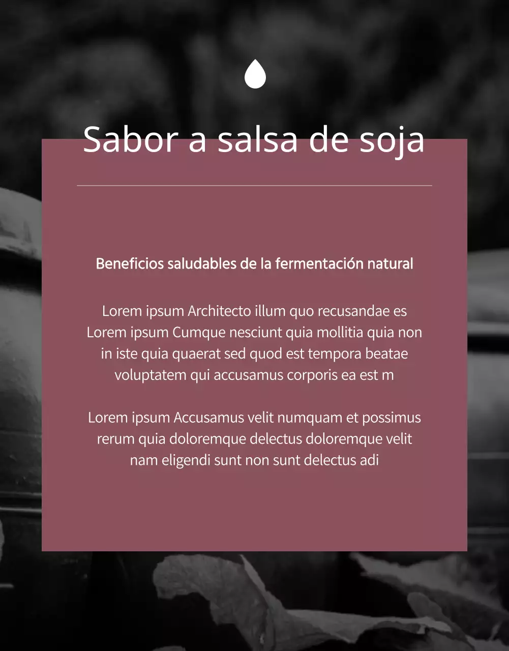 Financiación de un lujoso vale de comida negro y marrón de edición limitada (página de detalles)