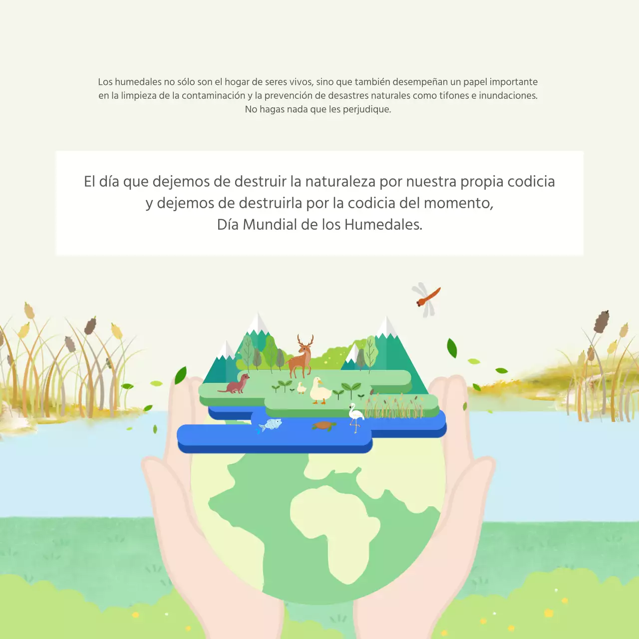 Tarjeta Ducasse del Día Mundial de los HumedalesDiseño de noticias