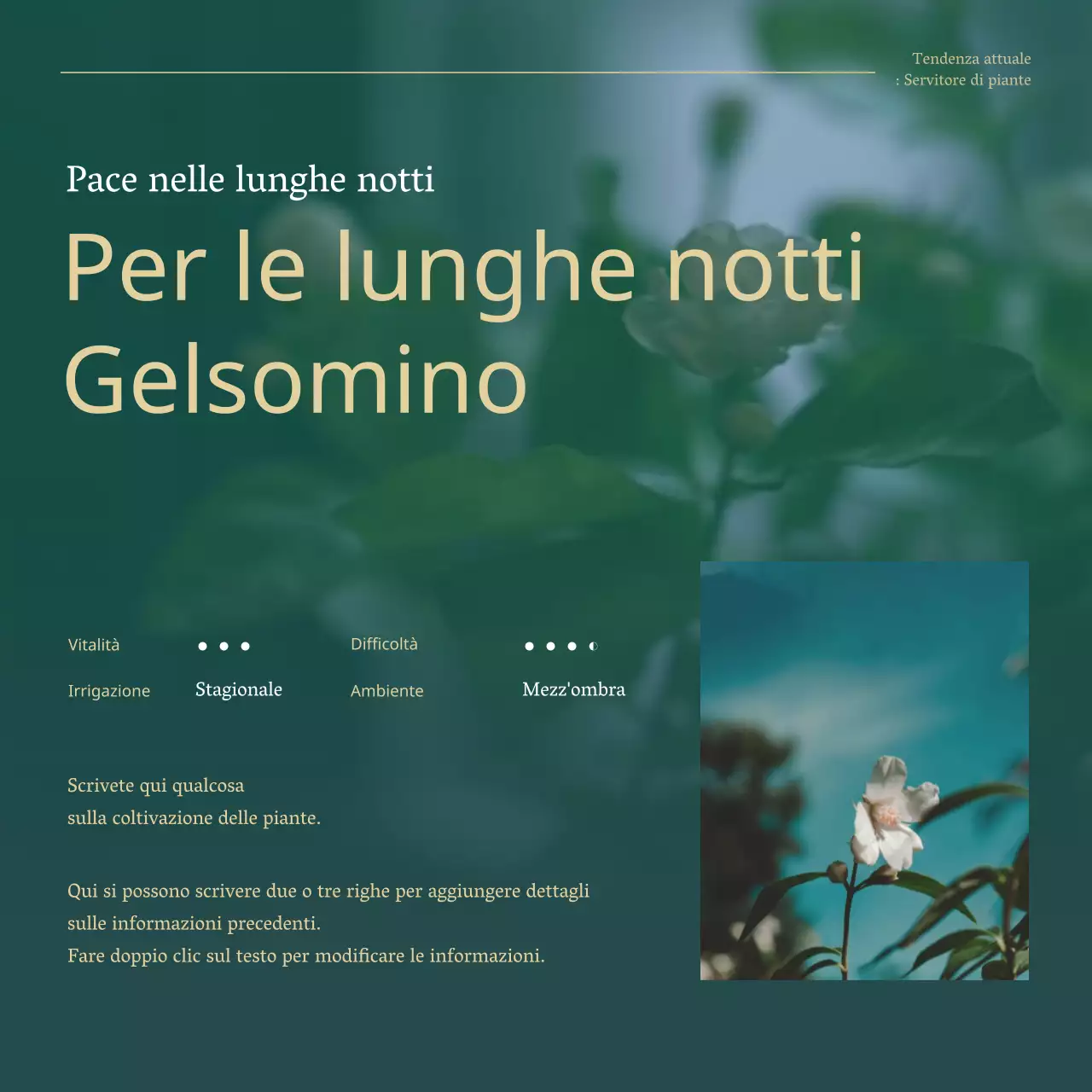 Piante da compagnia di tendenza verde e oro spiegate