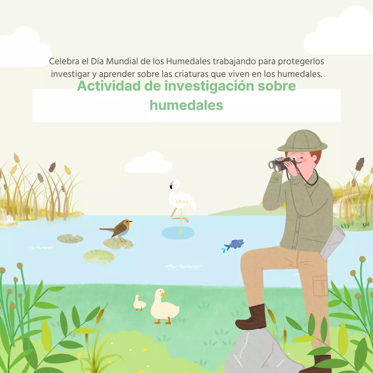 Tarjeta Ducasse del Día Mundial de los HumedalesDiseño de noticias