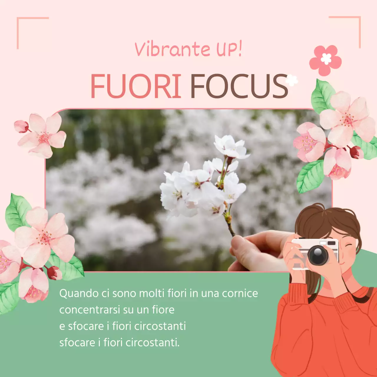 4 consigli per fotografare la festa dei fiori di primavera in rosa Promozione del prodotto