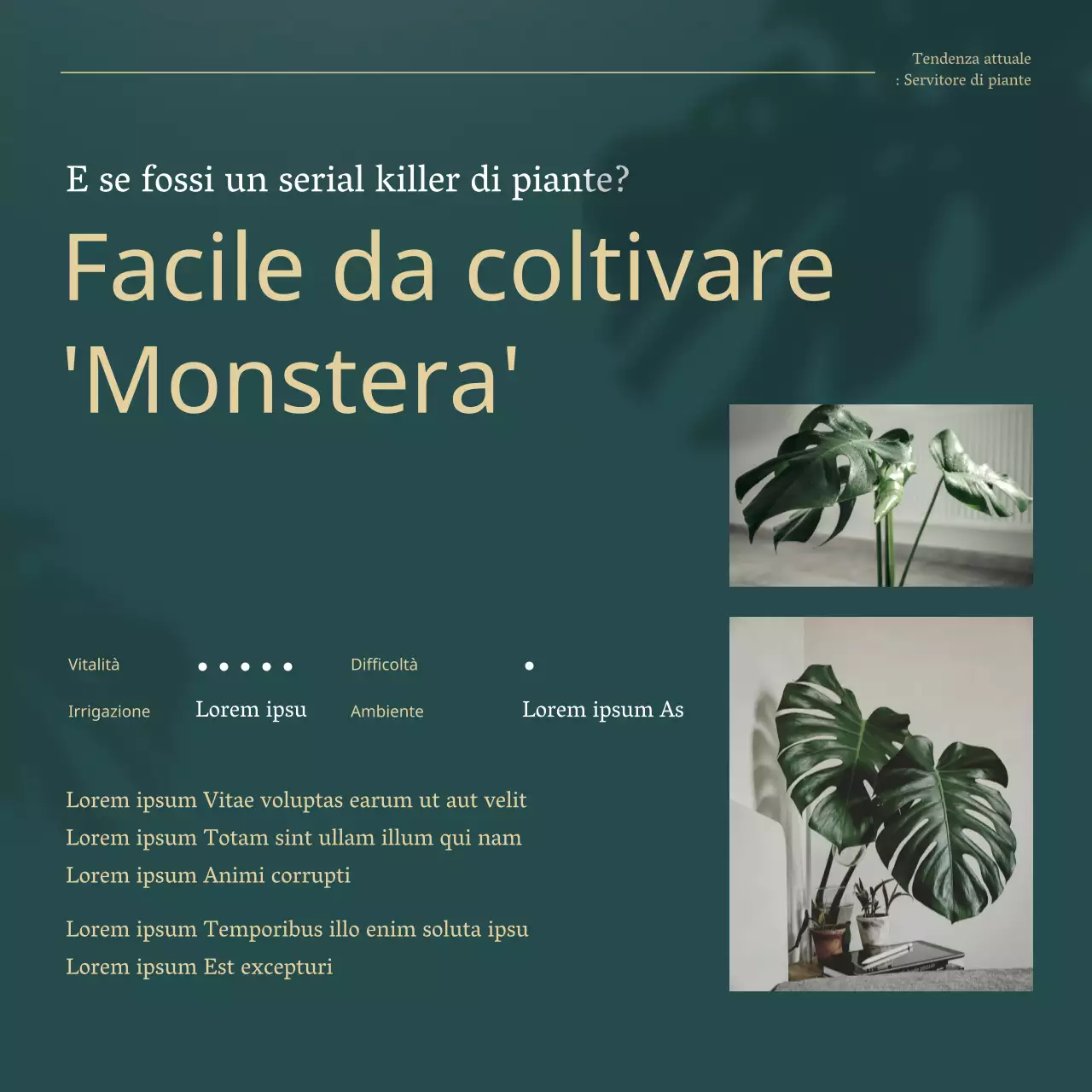 Piante da compagnia di tendenza verde e oro spiegate