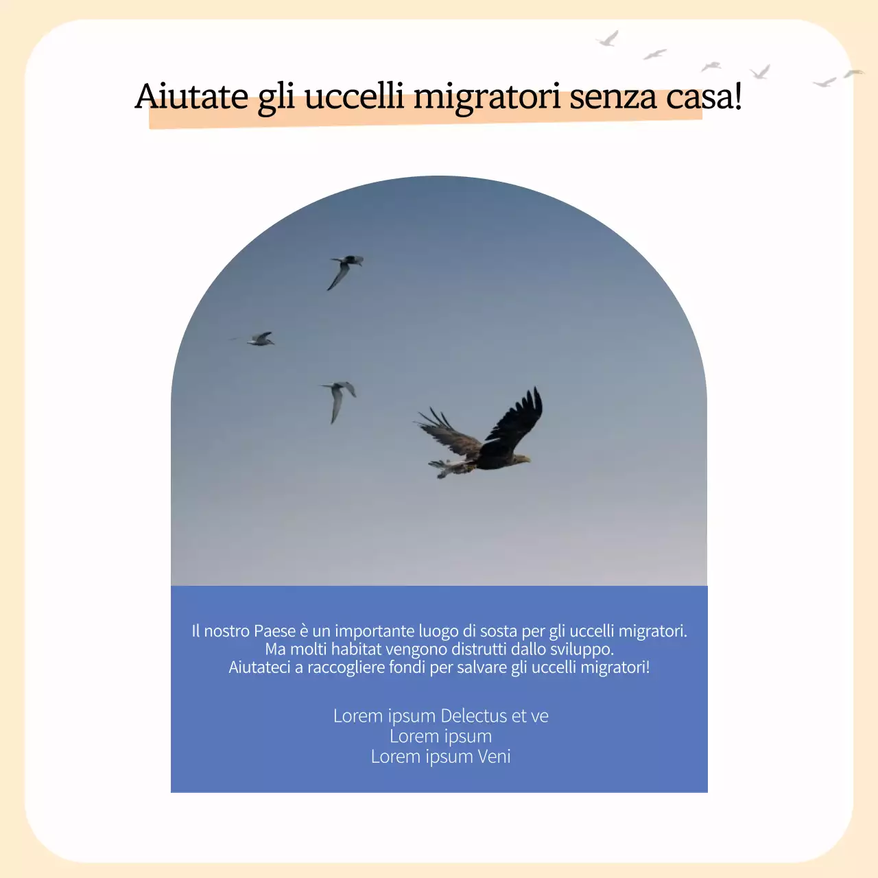 Una semplice guida agli uccelli migratori in giallo e arancione