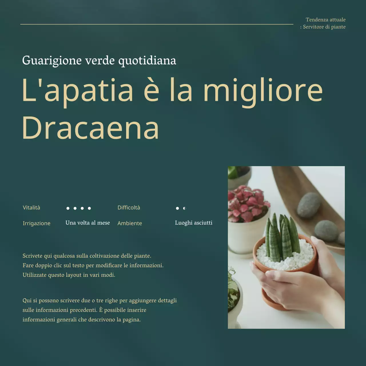 Piante da compagnia di tendenza verde e oro spiegate