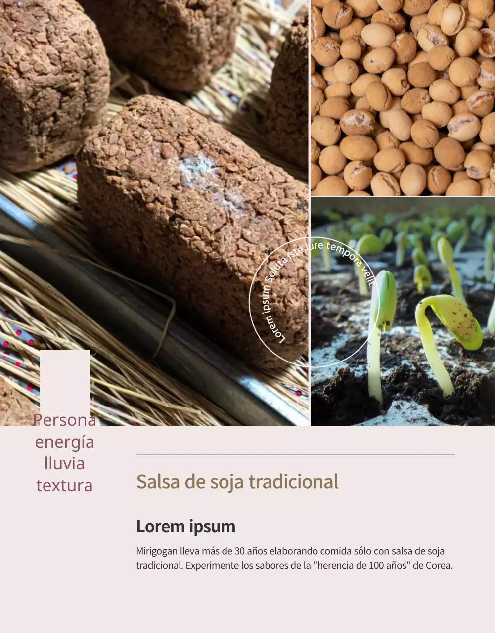 Financiación de un lujoso vale de comida negro y marrón de edición limitada (página de detalles)