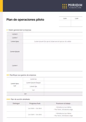 Formulario del Plan Operativo del Proyecto Piloto Empresarial en colores de puntos amarillo y azul
