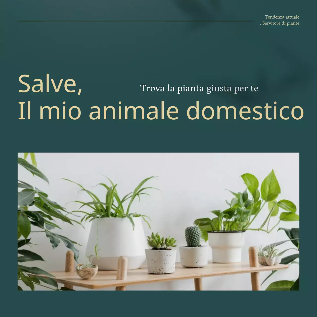 Piante da compagnia di tendenza verde e oro spiegate