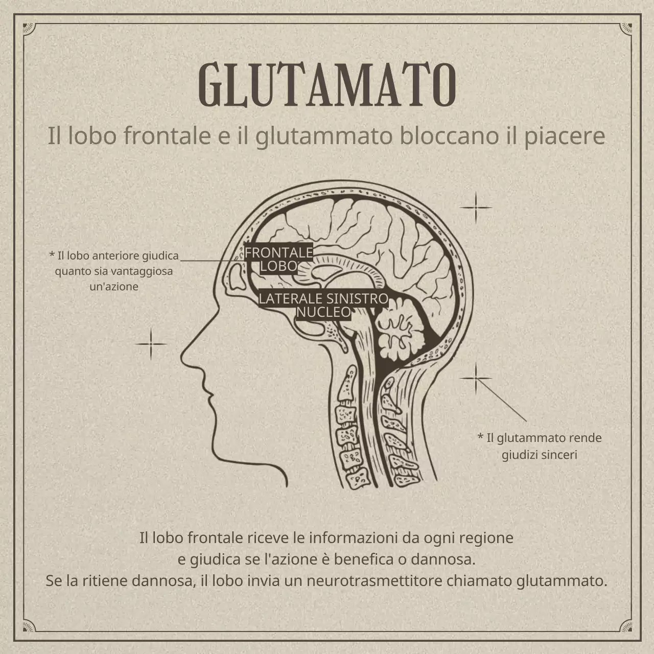 Neuroscienza e pigrizia in un concetto di illustrazione beige e realistico