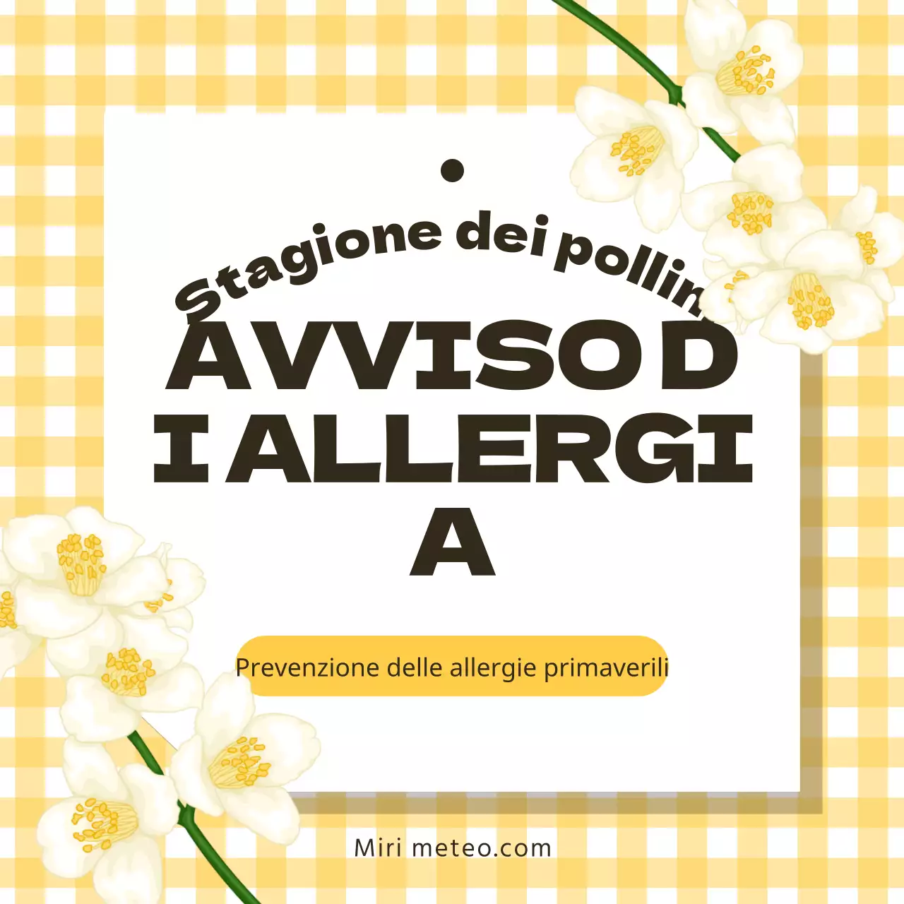 Una campagna di sensibilizzazione sui pollini con scacchiere e fiori gialli.