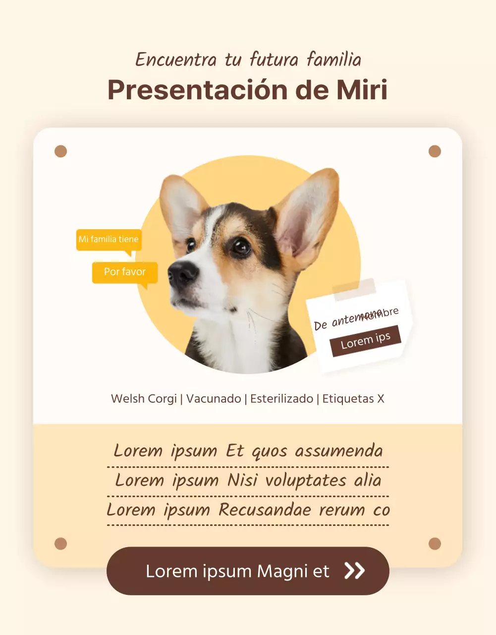 Página detallada del puesto de adopción ilustrada con tonos amarillo-marrón