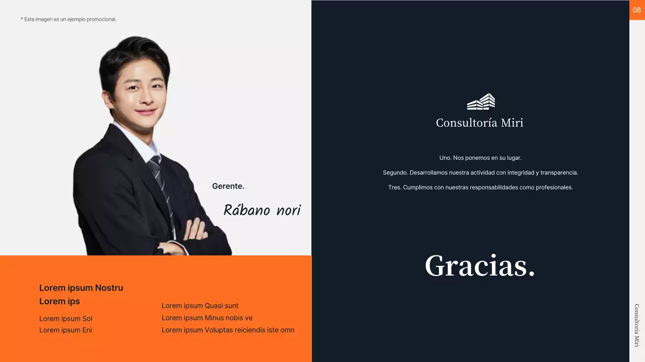 Consultoría financiera en naranja y gris