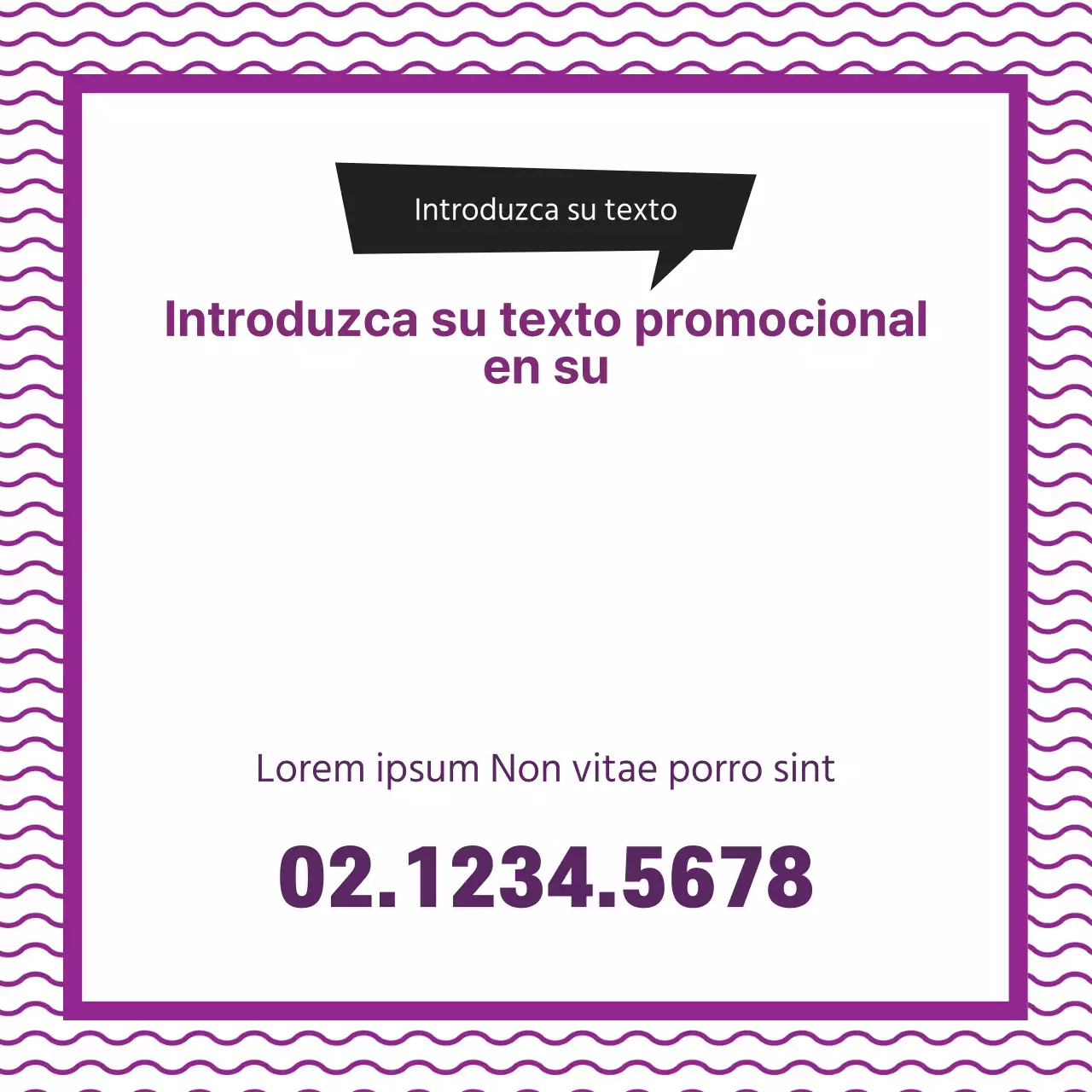 44710_Introducir texto promocional