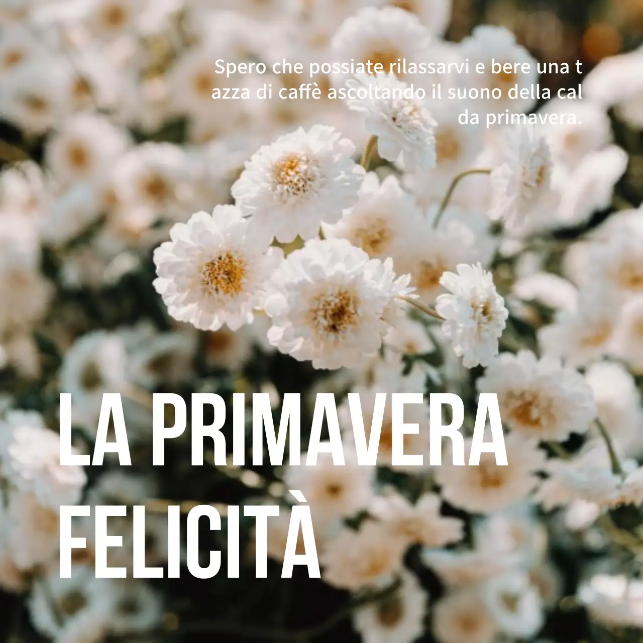 Design floreale di primavera