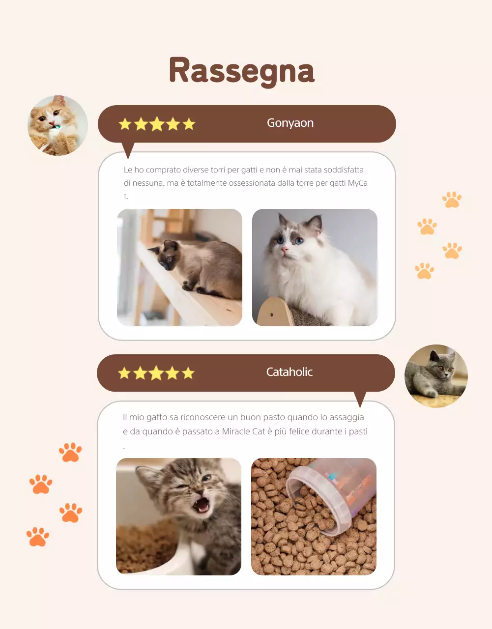 Una simpatica e ordinata vendita di gatti arancioni in un centro commerciale