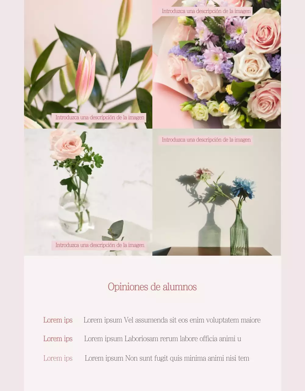 Página de detalles de la clase de flores