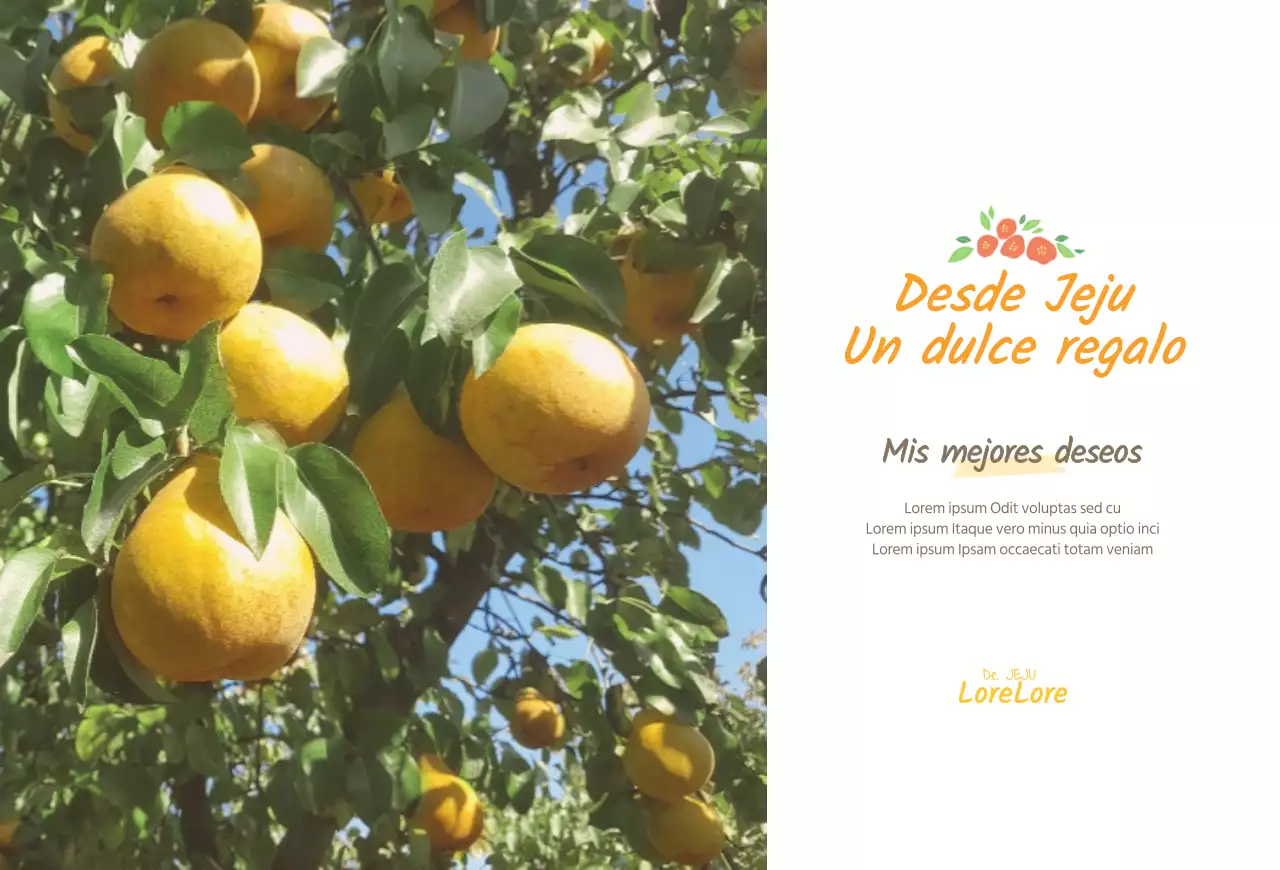 Postal de venta de naranjas amarillas de la isla de Jeju