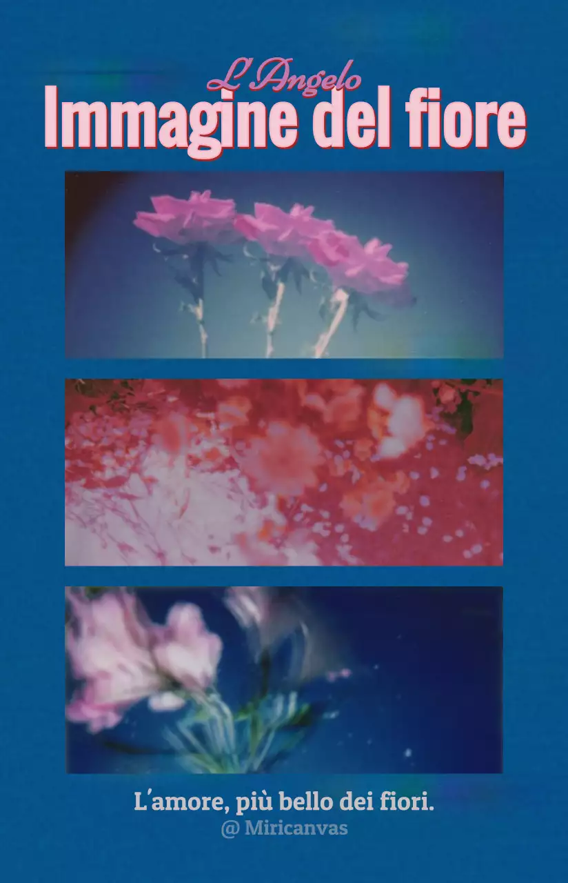 Combinazioni di testi semplici e cornici fotografiche in colori da sogno Per un prodotto personalizzato