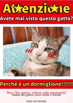 Volantino retrò rosso e bianco di Classe B per il vanto degli animali