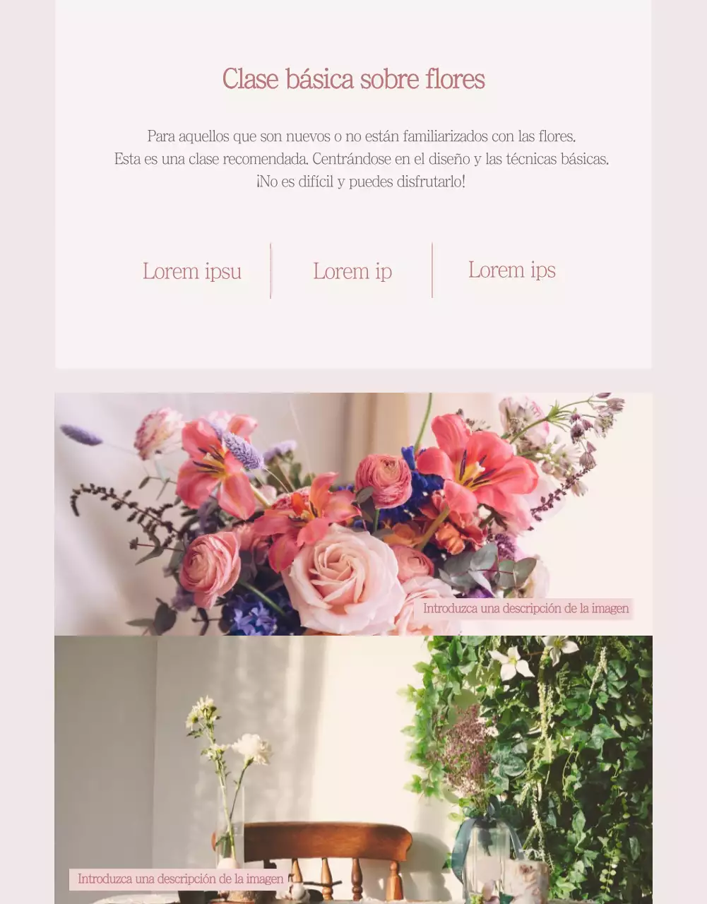 Página de detalles de la clase de flores