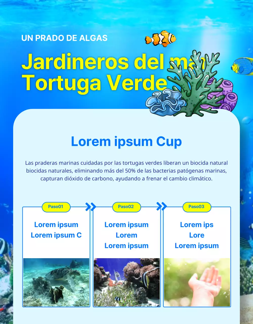 Financiación para la conservación de la tortuga boba azul y amarilla, una criatura de los arrecifes de barrera en peligro de extinción.