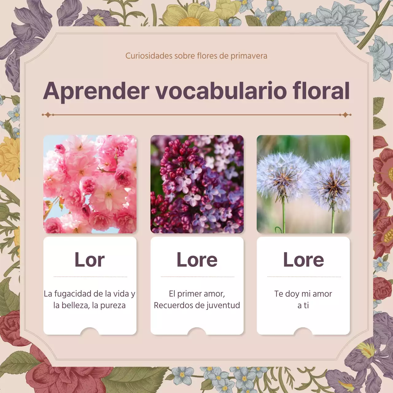 Concepto de la flor de la primavera de la flor rosada del vintage concepto completo