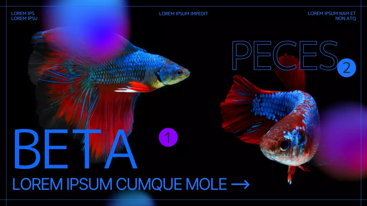 Criar un pez negro y azul para principiantes