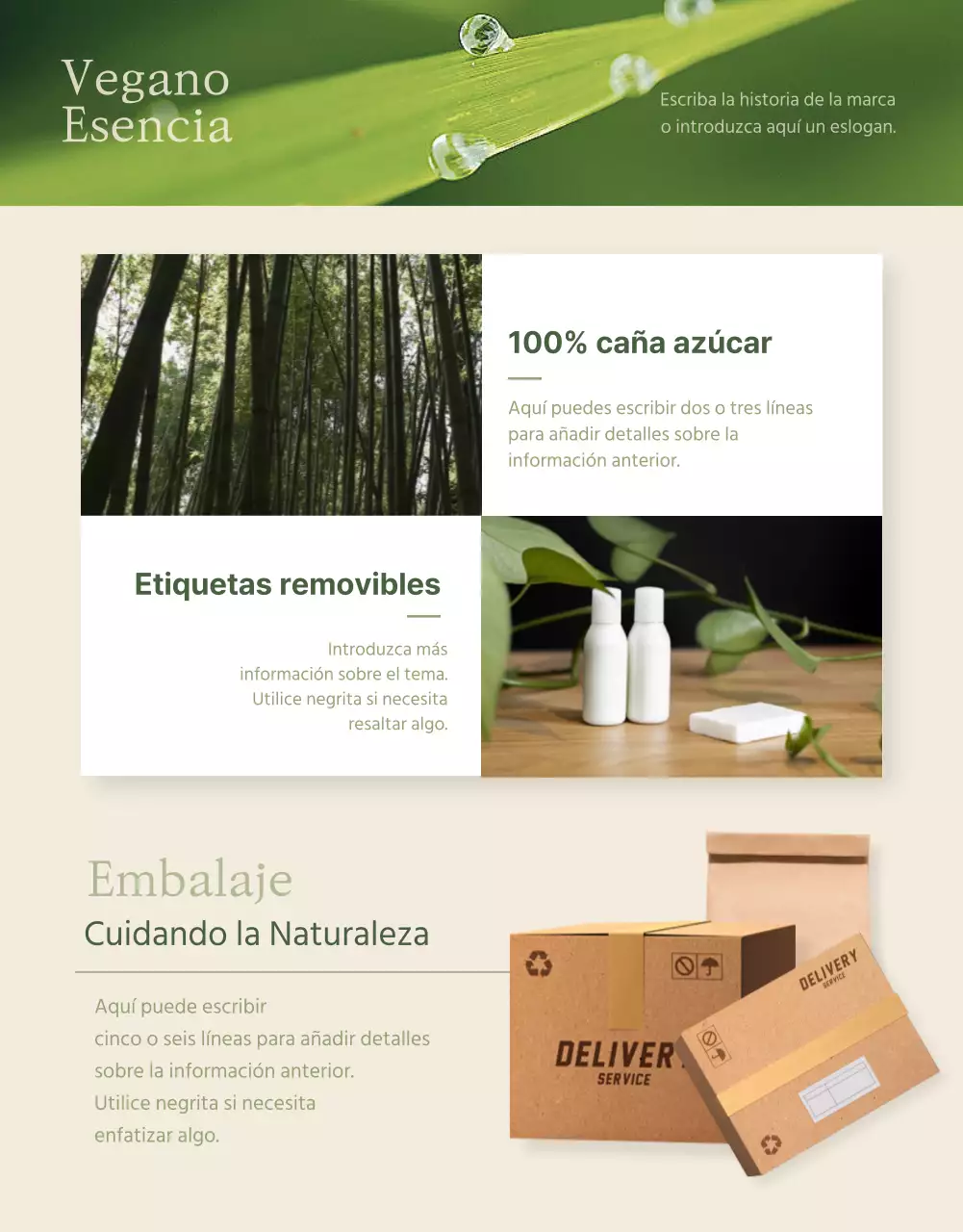 Cosméticos veganos en verde marfil detail page