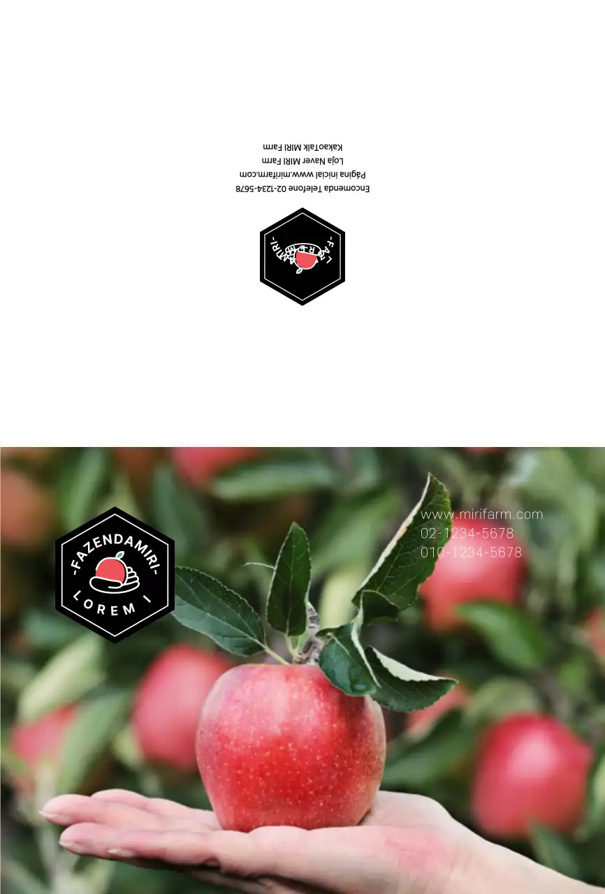 Fotografia de frutos Descrição do produto Cartões postais para o pomar