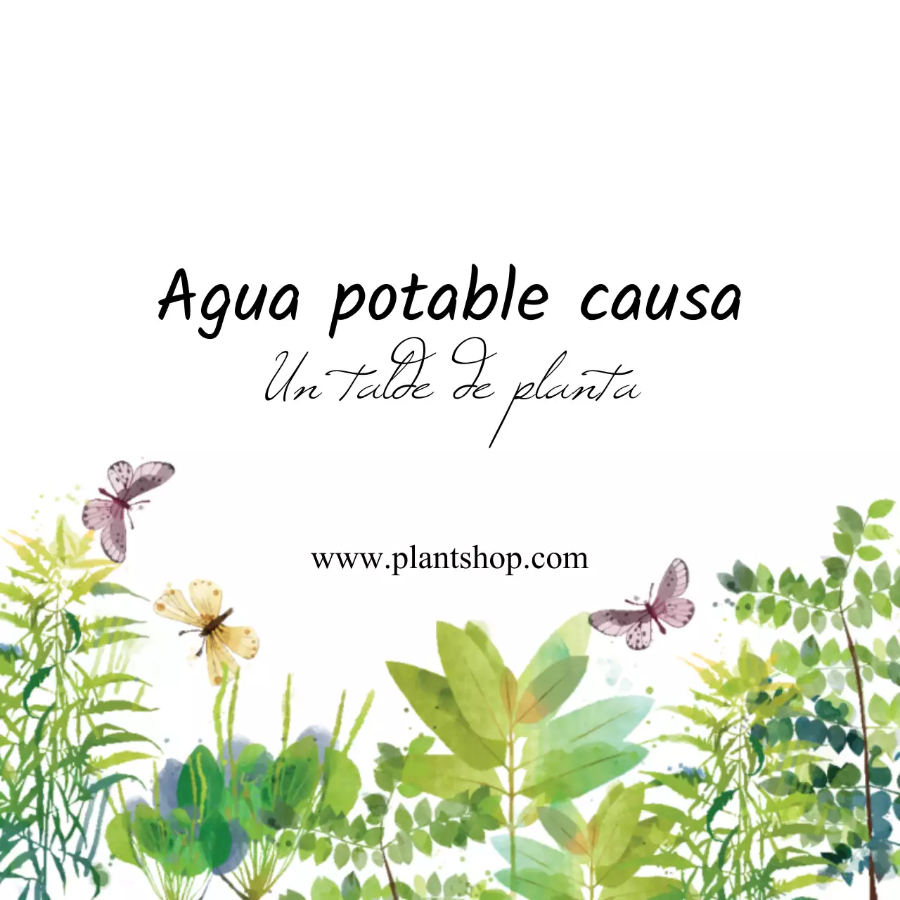 Plantas