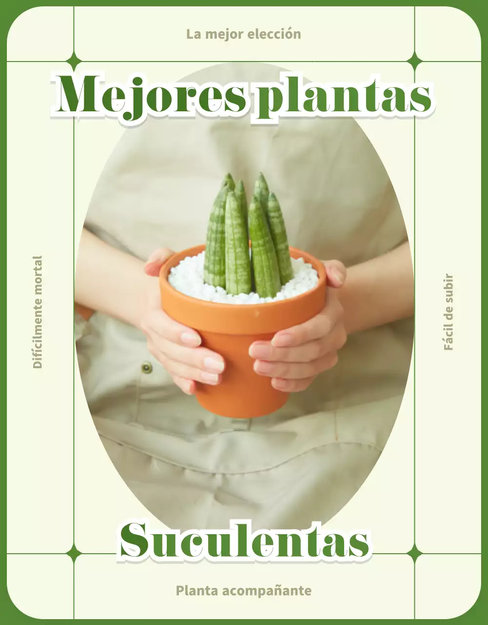 Suculentas verdes y beige detail page